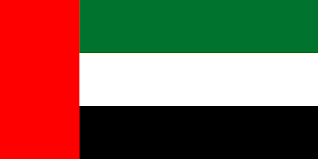 Dubai flag