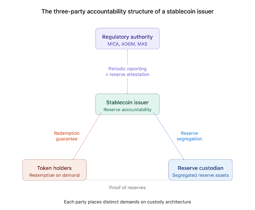 Diagram showing the three-party accountability structure of a stablecoin issuer. The stablecoin issuer sits at the centre, connected by bidirectional arrows to three stakeholders: the regulatory authority (top, labelled periodic reporting and reserve attestation), token holders (bottom-left, labelled redemption guarantee), and the reserve custodian (bottom-right, labelled reserve segregation). A dashed horizontal line connects token holders and the reserve custodian, labelled proof of reserves, representing the indirect accountability between the two.